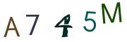CAPTCHA con immagine