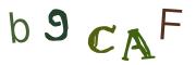 CAPTCHA con immagine