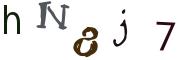 CAPTCHA con immagine