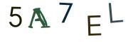 CAPTCHA con immagine